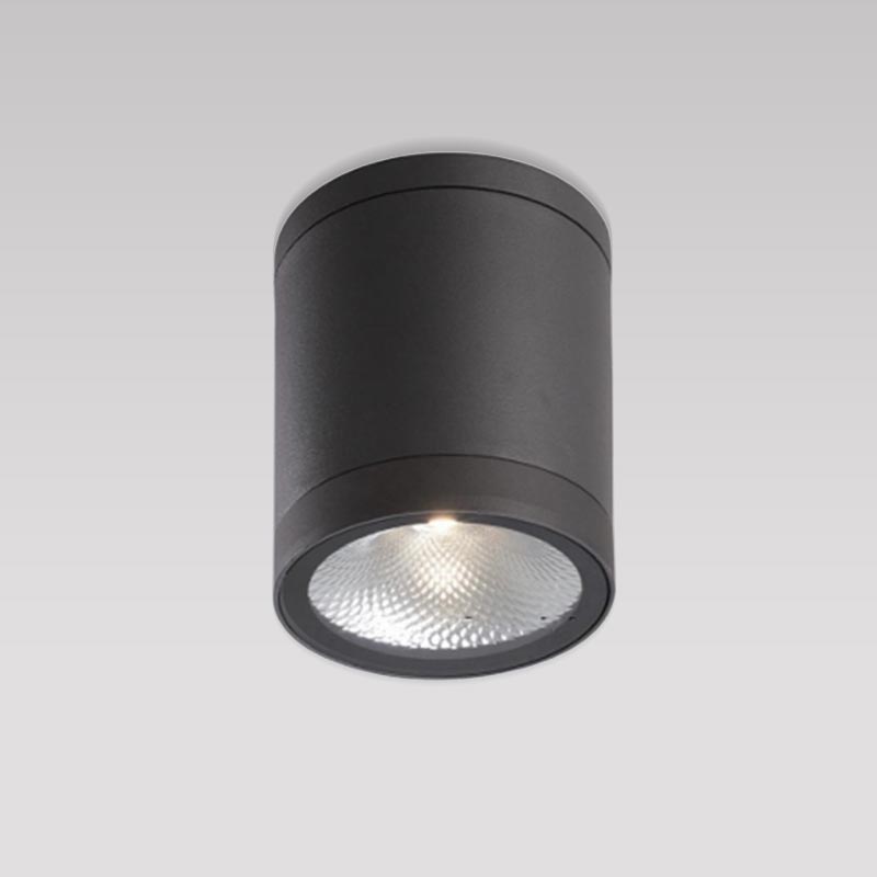 Aluminum LED Cylindrical Spot Black 13W/ 6000K/ IP65 PROLIGHT+