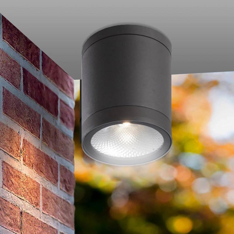 Aluminum LED Cylindrical Spot Black 13W/ 6000K/ IP65 PROLIGHT+