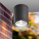 Aluminum LED Cylindrical Spot Black 13W/ 6000K/ IP65 PROLIGHT+