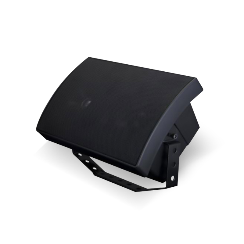 ZERDA Haut Parleurs murale Woofer 5 Pouces Deux Voies 40W