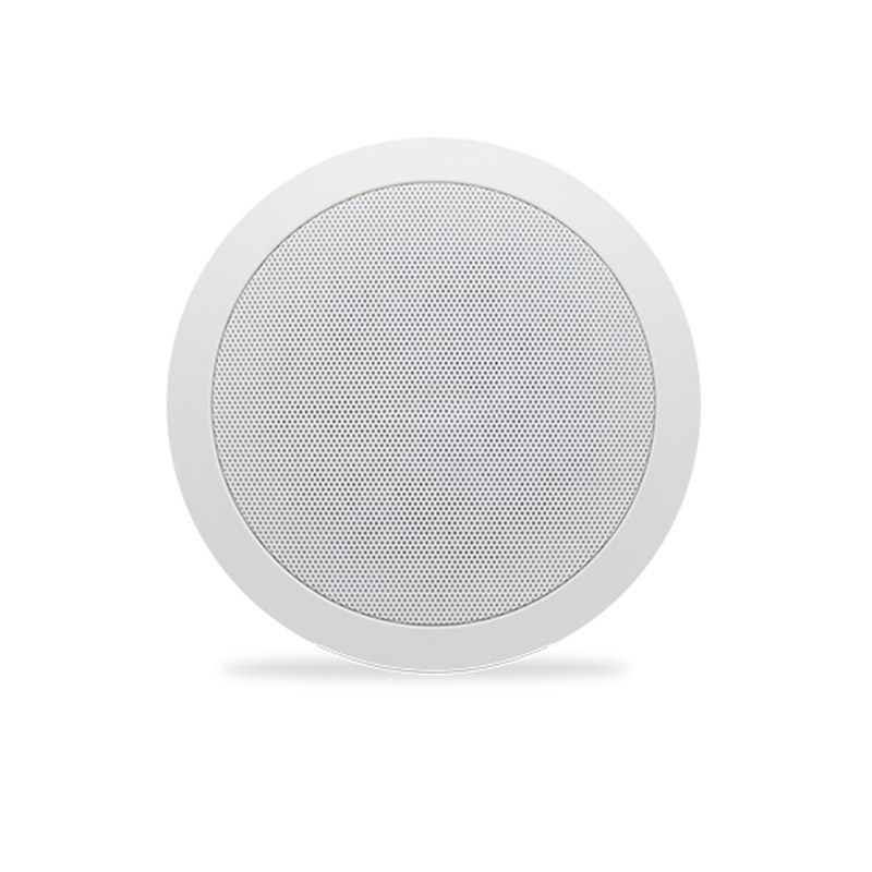 Haut Parleur de Plafond Woofer 8 Pouces 10W ZERDA