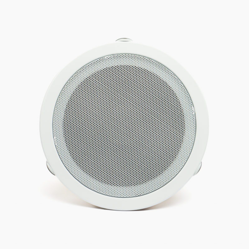 Haut Parleur de Plafond Woofer 6 Pouces 6W ZERDA