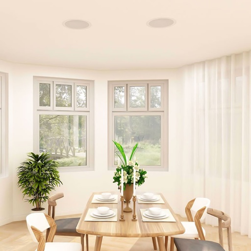 [ZRLSYT5] Haut Parleur de Plafond Woofer 5 Pouces 6W ZERDA