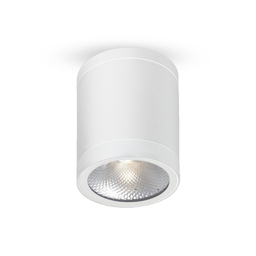 [PRLDCL006CWH] Spot LED Cylindrique  Blanc en Aluminium 13W / 6000K / IP65 PROLIGHT+