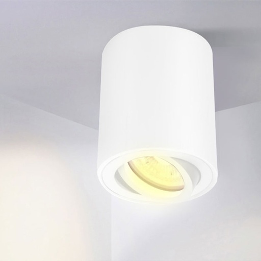 [PRYC349A1622WH] Support de Spot Blanc Apparent Orientable  PROLIGHT+ en aluminum pour une ampoule MR16 / GU10 / 12V / IP20