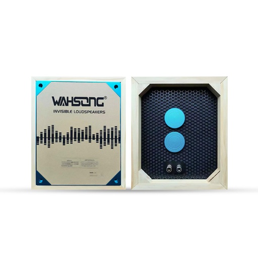 [ZRJSC1] Haut Parleur Invisible 40W ZERDA