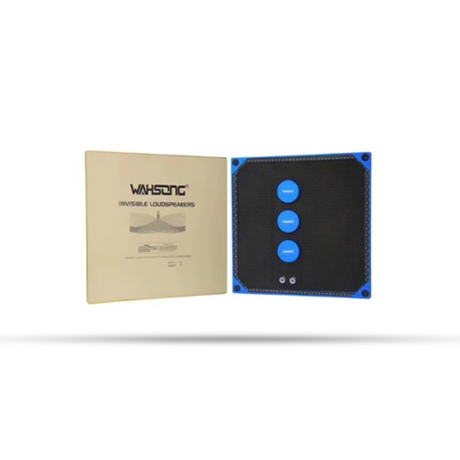 [ZRJSC2] Haut Parleur Invisible 60W ZERDA