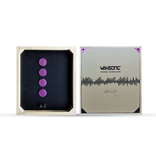[ZRJSC4] Haut Parleur Invisible 80W ZERDA