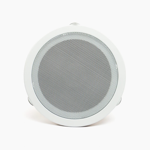 [ZRLSYT6] Haut Parleur de Plafond Woofer 6 Pouces 6W ZERDA